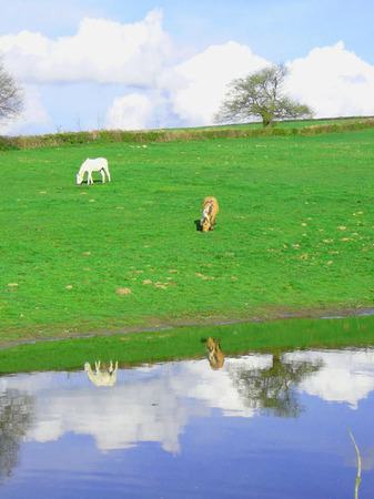 Les prés de la Verchère